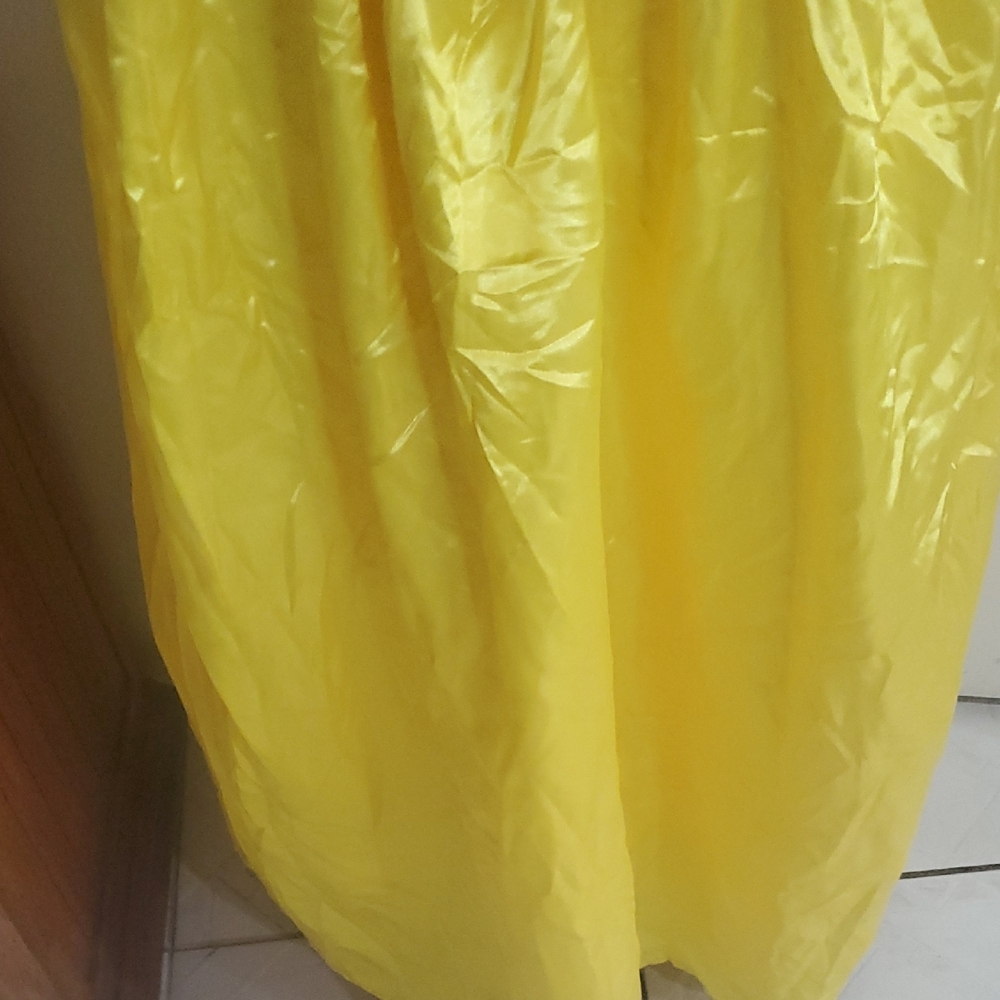 Disney Princess Costume with Blue and Yellow Dress - Picture 5 of 11